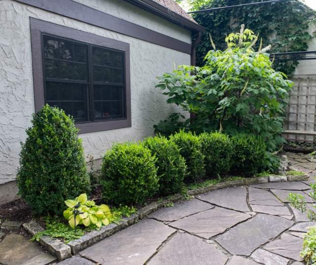 Variety of shrubs and tress for fall landscapes.