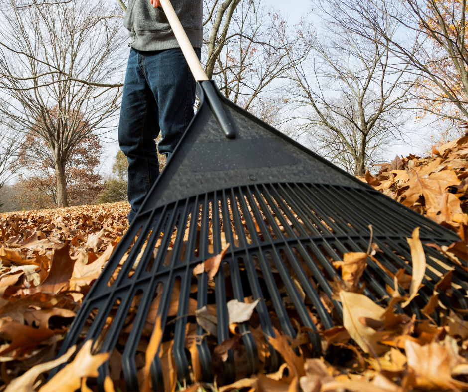 Winter Landscape Tips: Leaf Removal - Heinen Landscape Kansas City