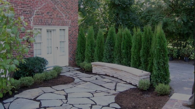 The Secret to a Thriving Landscape