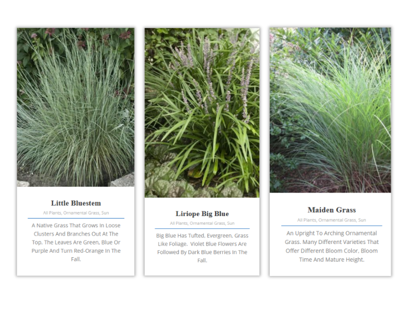 Heinen Landscape Kansas City Plant Catalog